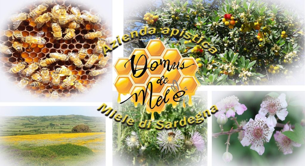 Domus de Mele: il miele di Sardegna che sostiene il sentiero del nostro cuore (Sa Semida de su coro nostru) Domus de Mele Miele di Sardegna