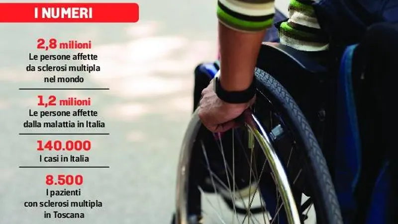 Qualcuno si domanda come mai ci siano così tanti malati di sclerosi multipla?
